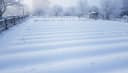 Neige au jardin : ce qu'il faut faire (et surtout ne pas faire) sur ta pelouse et tes plantations