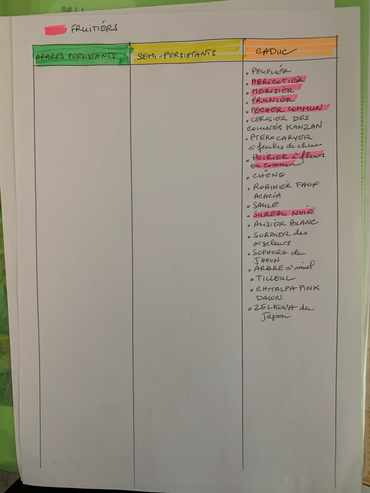 Liste manuscrite des arbres fruitiers et caducs par Claire Schuller