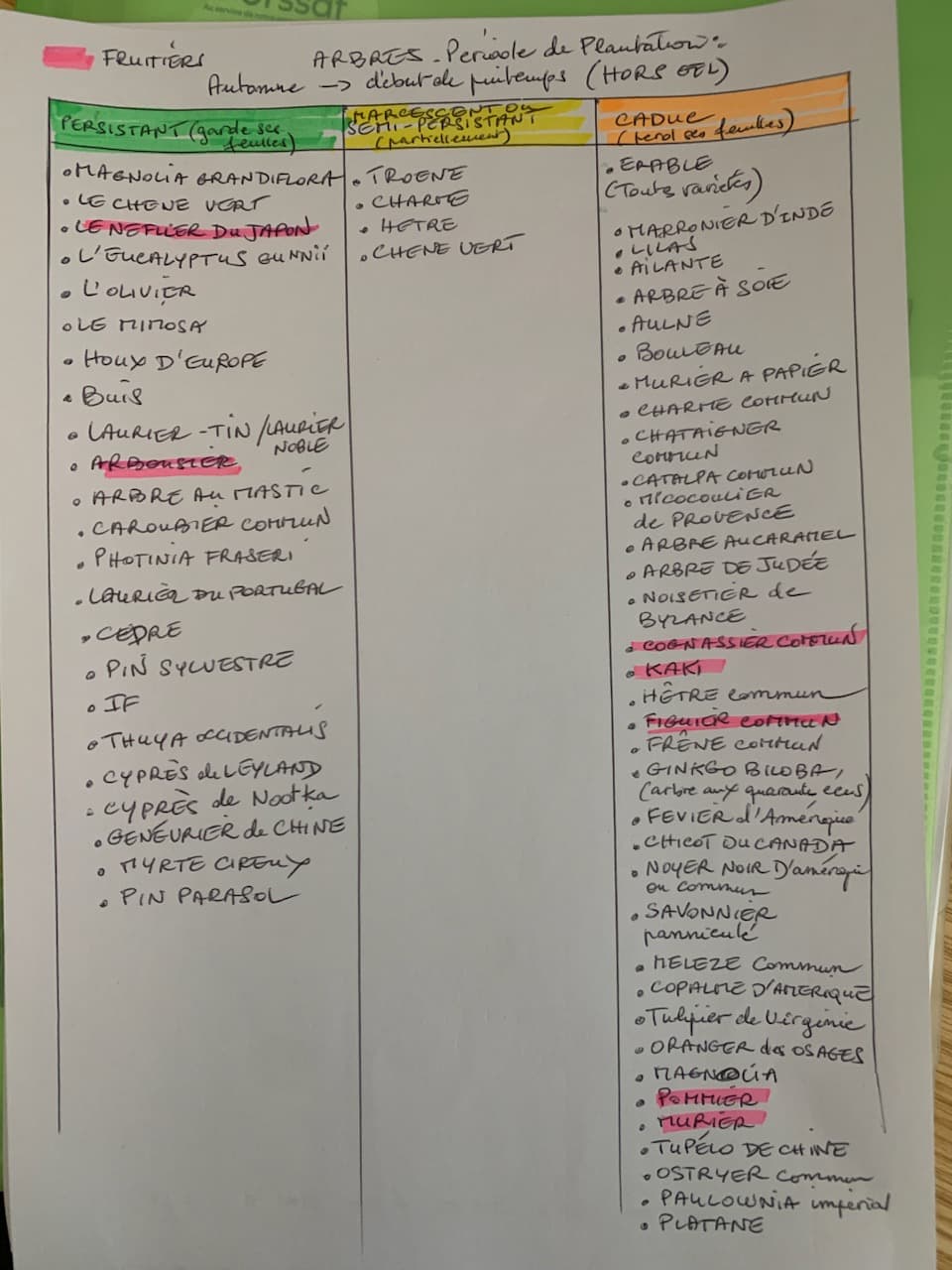 Liste manuscrite des arbres persistants, semi-persistants et caducs par Claire Schuller