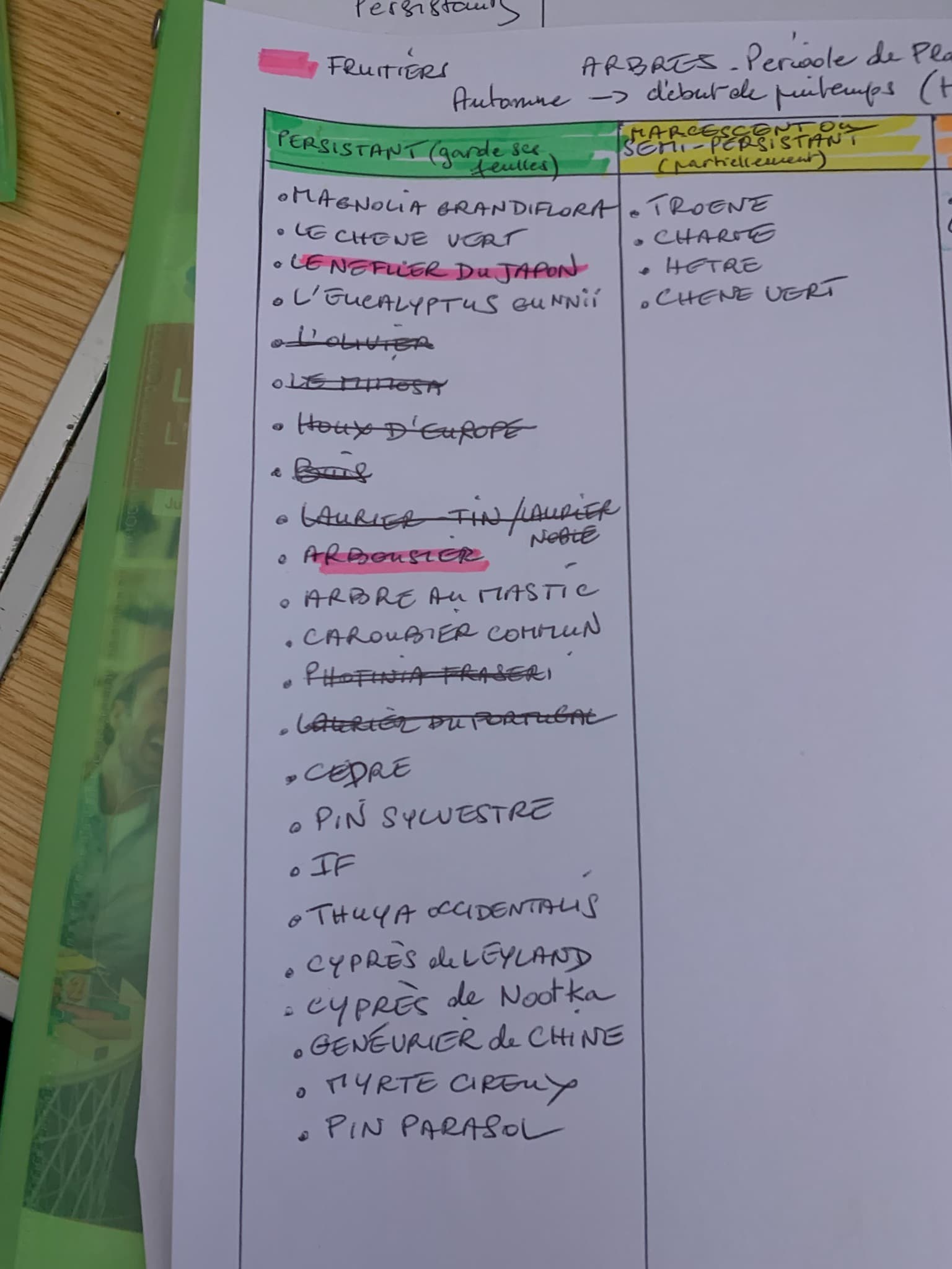 Liste manuscrite des arbres persistants par Claire Schuller