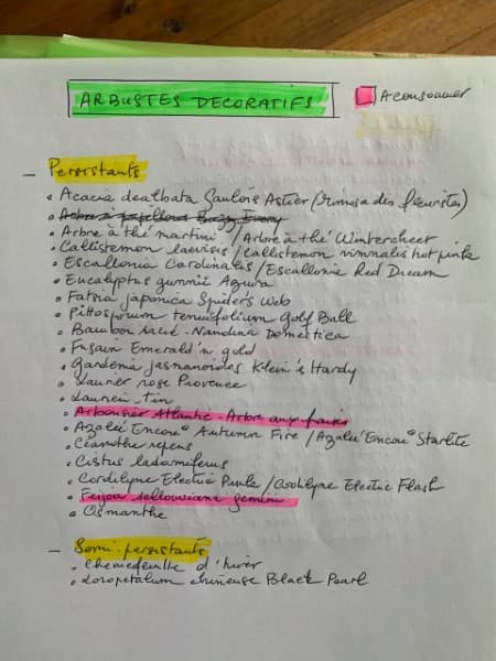 Liste manuscrite des arbustes décoratifs persistants par Claire Schuller