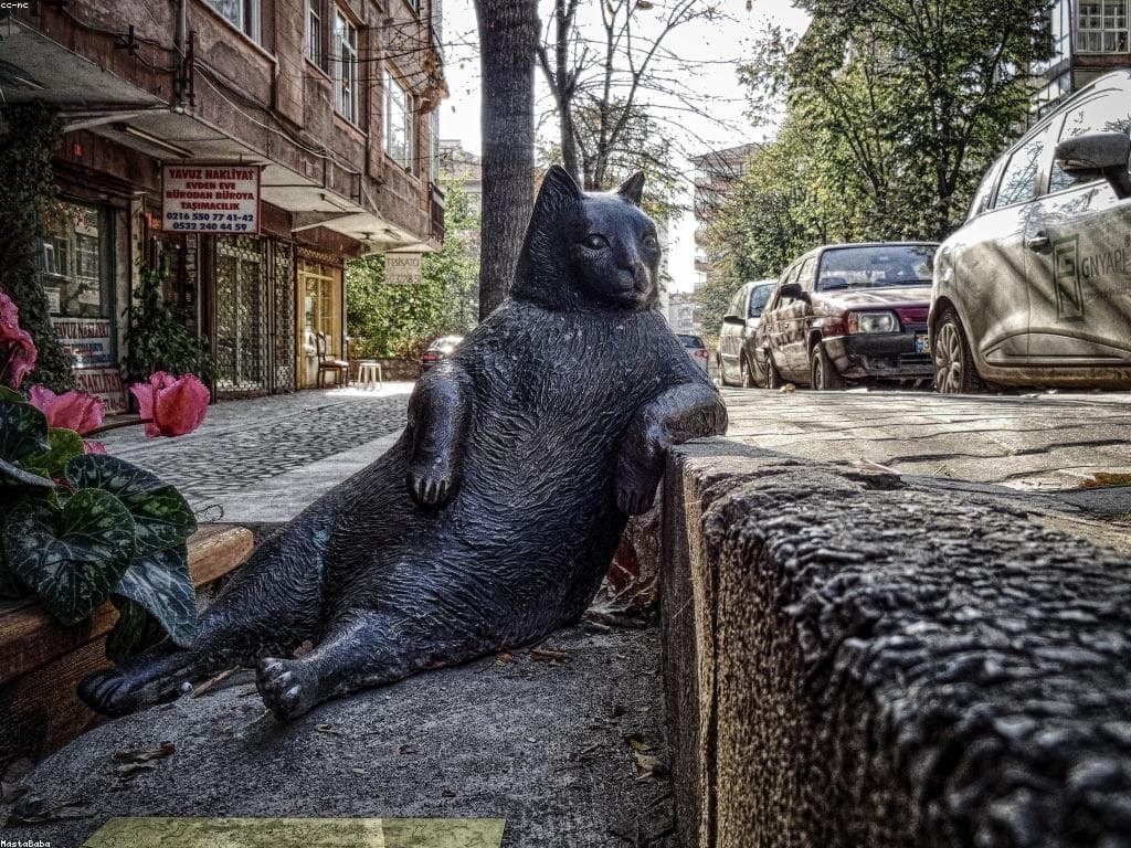 Chicot du Canada - illustration botanique