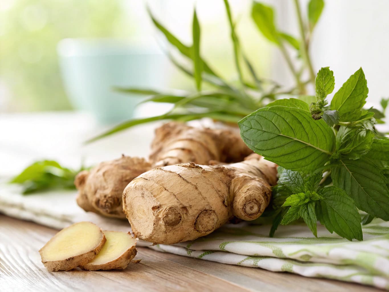 Gingembre - illustration botanique