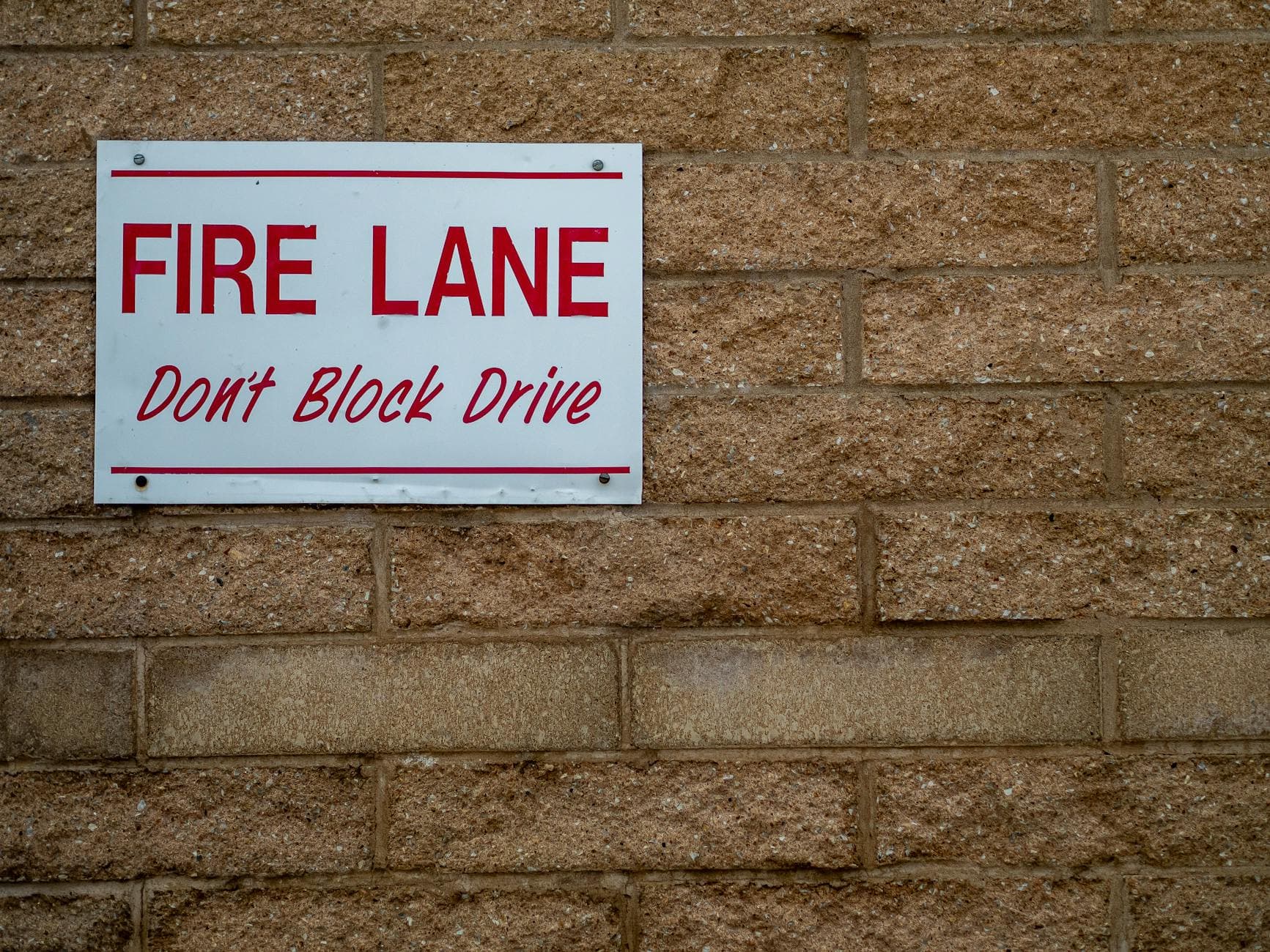 Oranger des Osages - illustration botanique